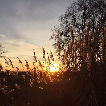 Spreewald-Ferienwohnung Reschke Radensdorf Kültér fotó