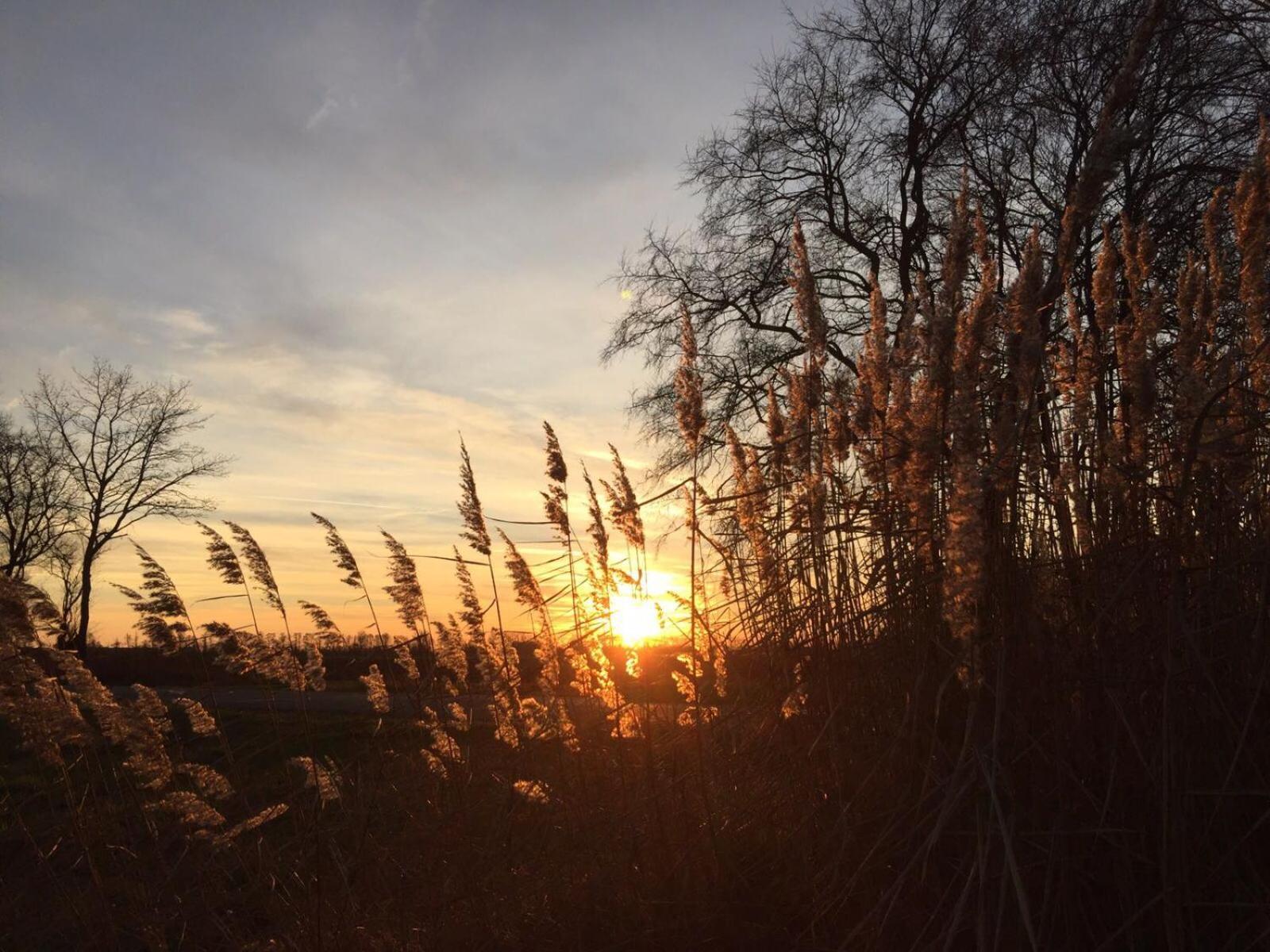 Spreewald-Ferienwohnung Reschke Radensdorf Kültér fotó
